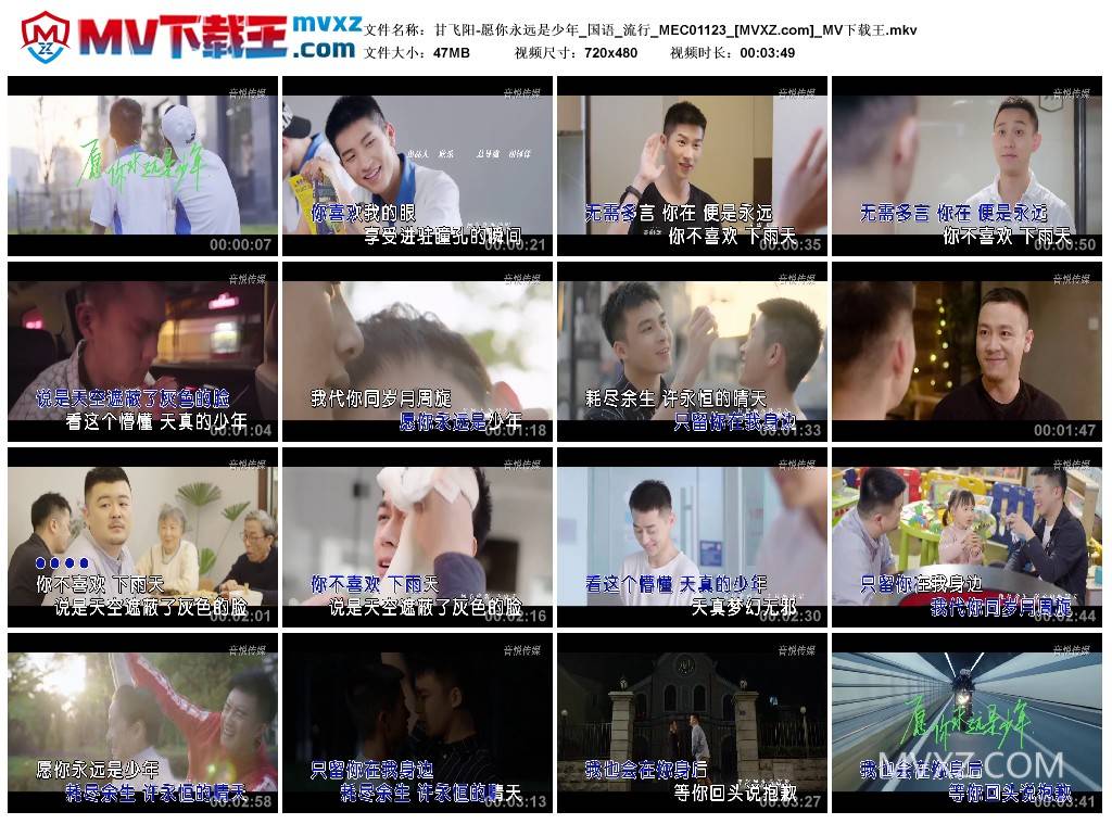 甘飞阳-愿你永远是少年_国语_流行_MEC01123